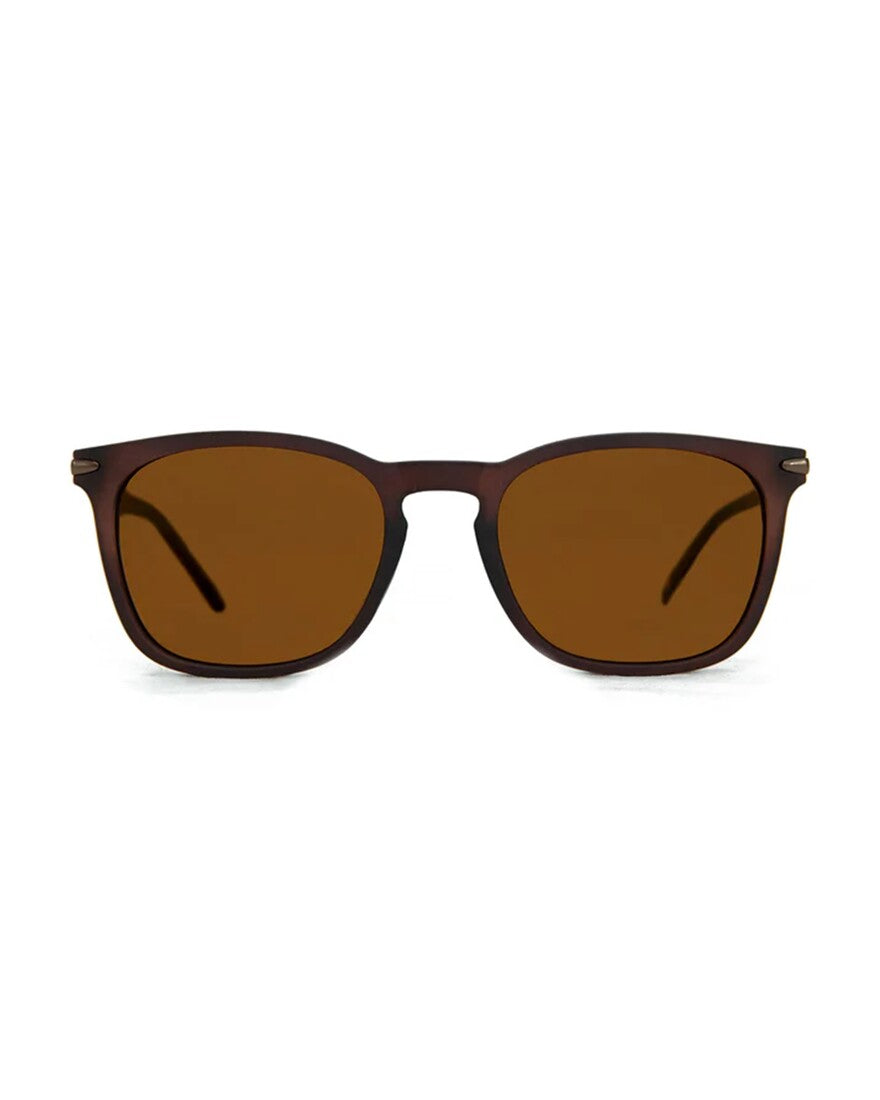 M2EYEWEAR - DONN BROWN